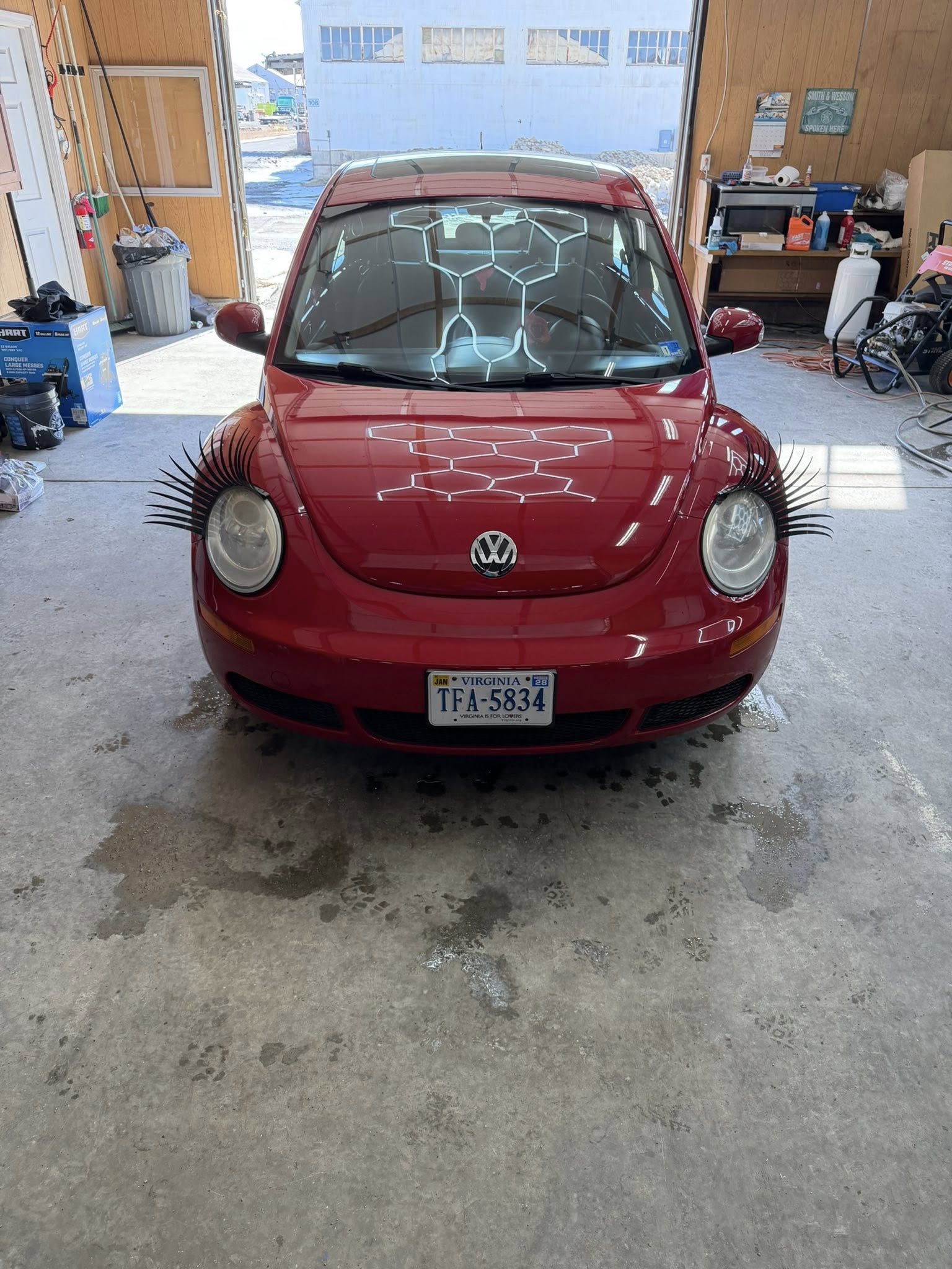 VW Beetle full exterior detail and polish