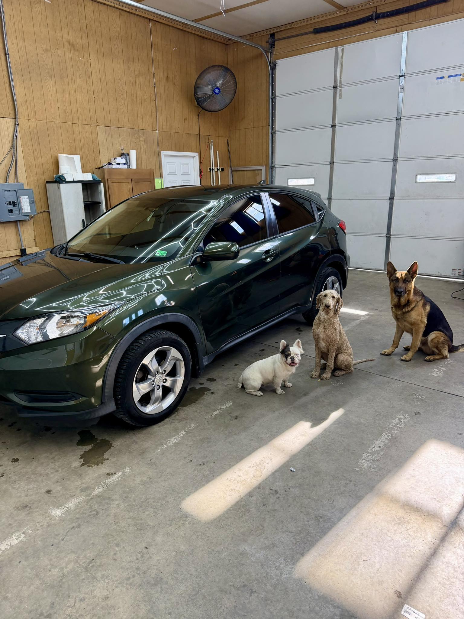 Dirty Dawgz Detailing shop with our mascots